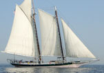 Lady Maryland