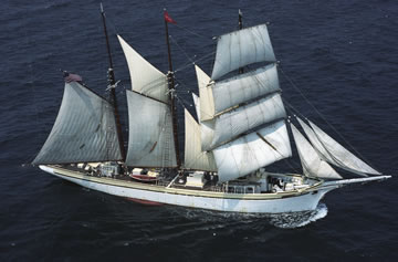 Gazela Gazela