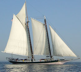 Lady Maryland